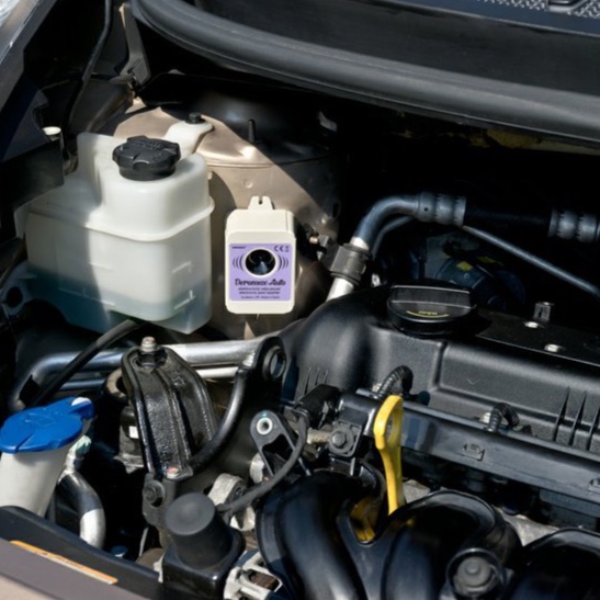 Kam umístit plašil kun do auta.